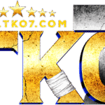 tko7.xyz favicon